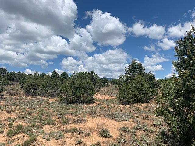 7 Nature Pointe, Tijeras, NM 87059