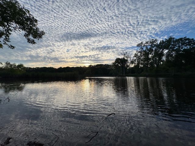 207 Lions Court, Lake Zurich, IL 60047