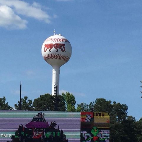 25 Gadwall Court, Zebulon, NC 27597