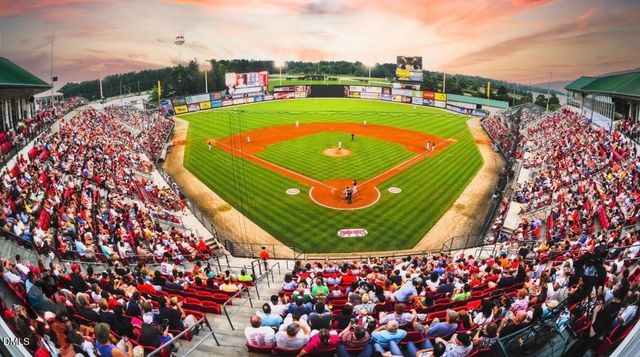 25 Gadwall Court, Zebulon, NC 27597