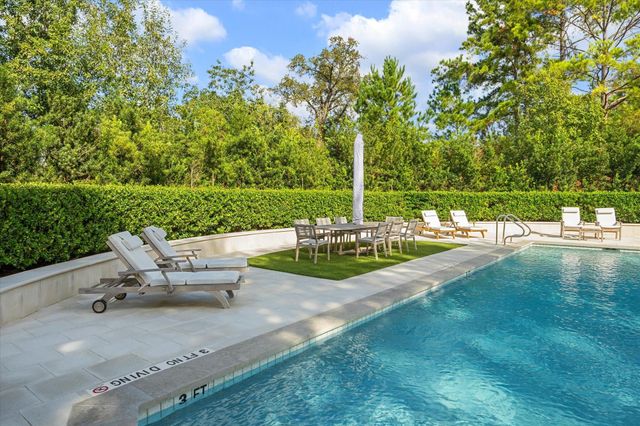 1000 Uptown Park Boulevard 101, Houston, TX 77056