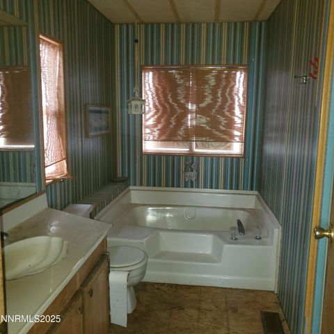 414 Cottonwood Drive, Walker Lake, NV 89415