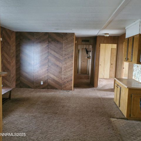 414 Cottonwood Drive, Walker Lake, NV 89415