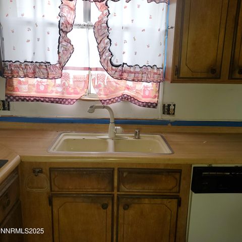 414 Cottonwood Drive, Walker Lake, NV 89415