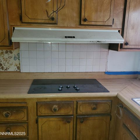 414 Cottonwood Drive, Walker Lake, NV 89415