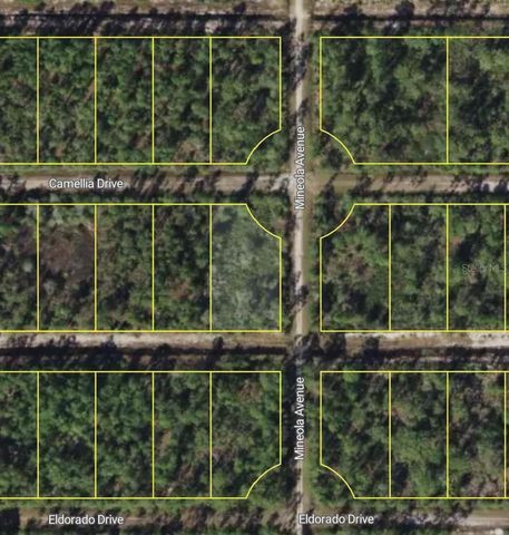 0 MINEOLA DRIVE, Indian Lake Estates, FL 33855
