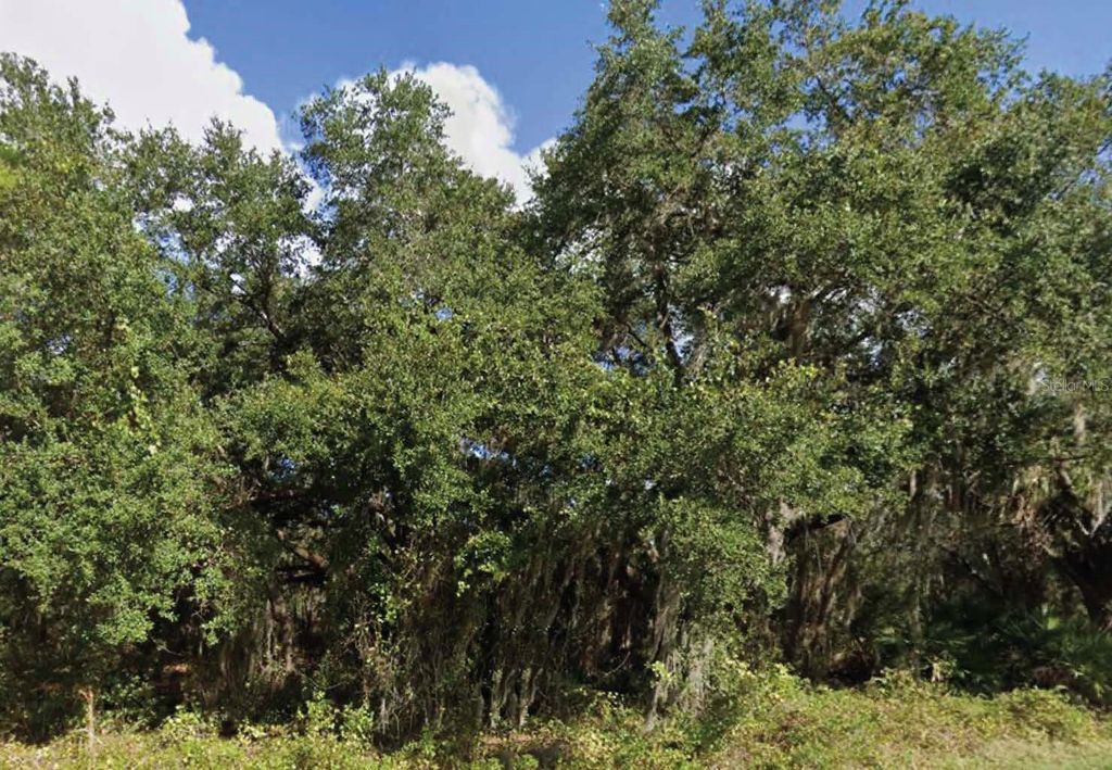 0 MINEOLA DRIVE, Indian Lake Estates, FL 33855
