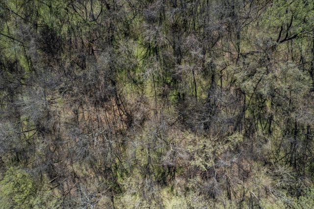 0 Dowell Branch Rd, Columbia, TN 38401