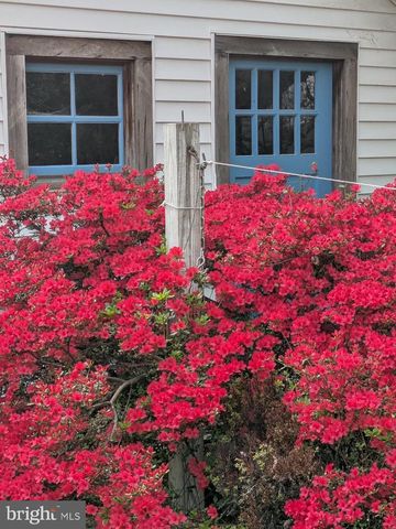 104 WINDSOR AVE, Centreville, MD 21617