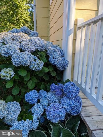 104 WINDSOR AVE, Centreville, MD 21617