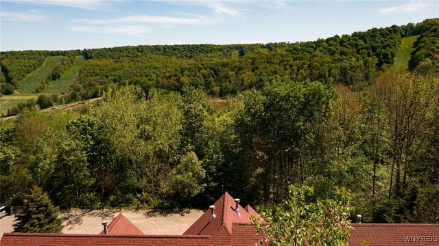 531 Deer Crossing Road, Ellicottville, NY 14731