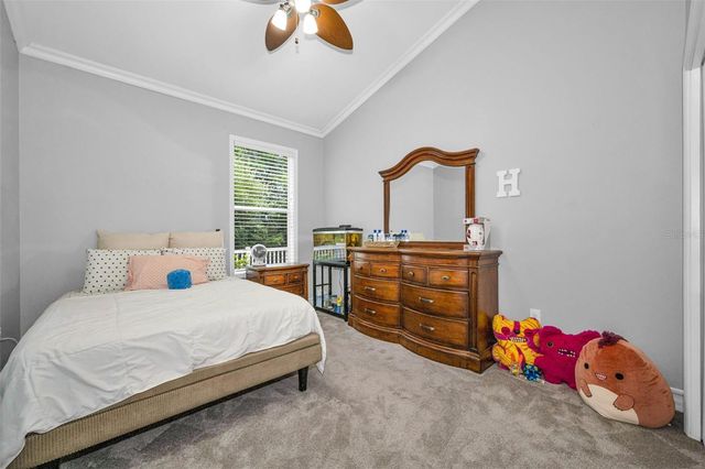 16207 RAMBLING ROAD, Odessa, FL 33556