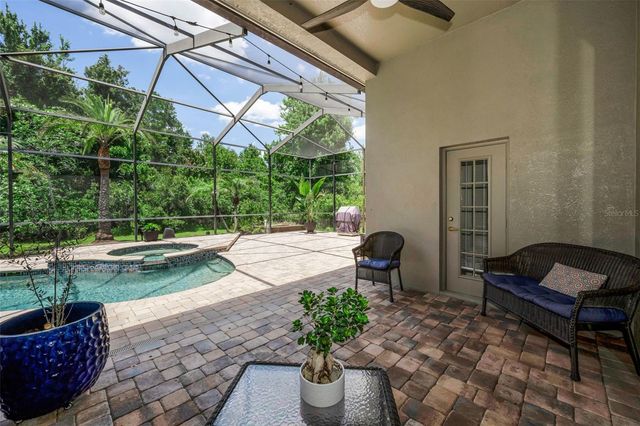 16207 RAMBLING ROAD, Odessa, FL 33556