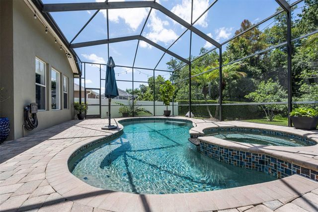 16207 RAMBLING ROAD, Odessa, FL 33556