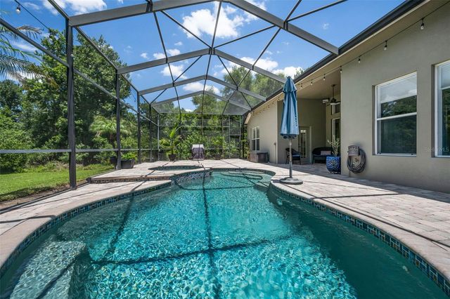 16207 RAMBLING ROAD, Odessa, FL 33556