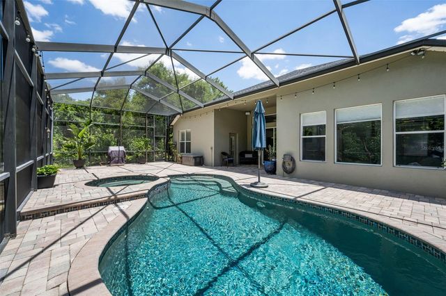 16207 RAMBLING ROAD, Odessa, FL 33556