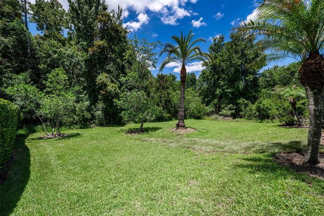 16207 RAMBLING ROAD, Odessa, FL 33556