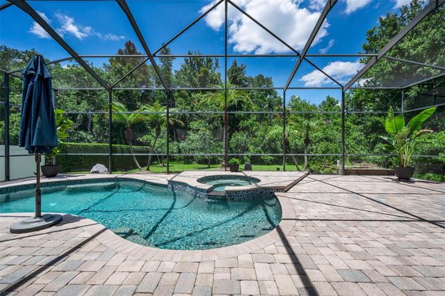 16207 RAMBLING ROAD, Odessa, FL 33556