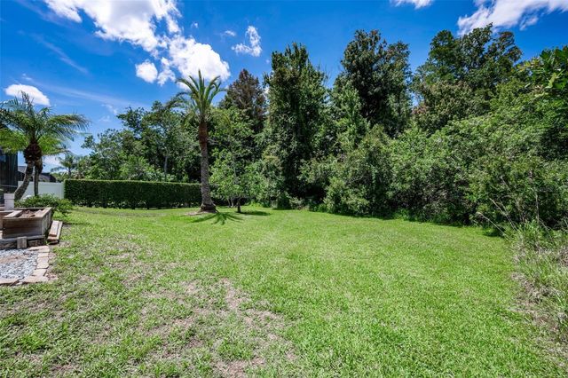 16207 RAMBLING ROAD, Odessa, FL 33556