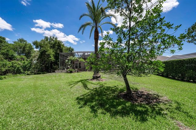 16207 RAMBLING ROAD, Odessa, FL 33556