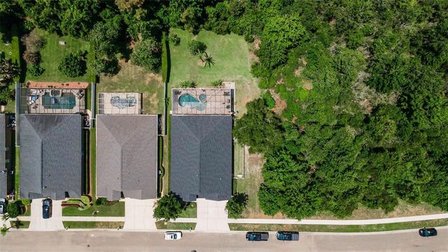 16207 RAMBLING ROAD, Odessa, FL 33556