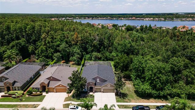 16207 RAMBLING ROAD, Odessa, FL 33556