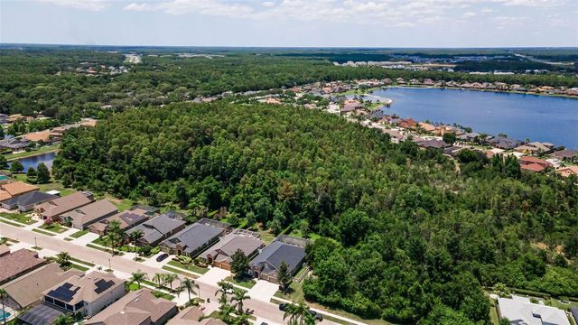 16207 RAMBLING ROAD, Odessa, FL 33556