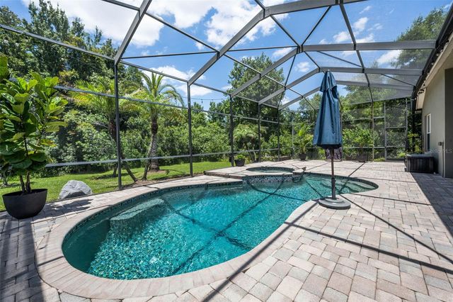 16207 RAMBLING ROAD, Odessa, FL 33556