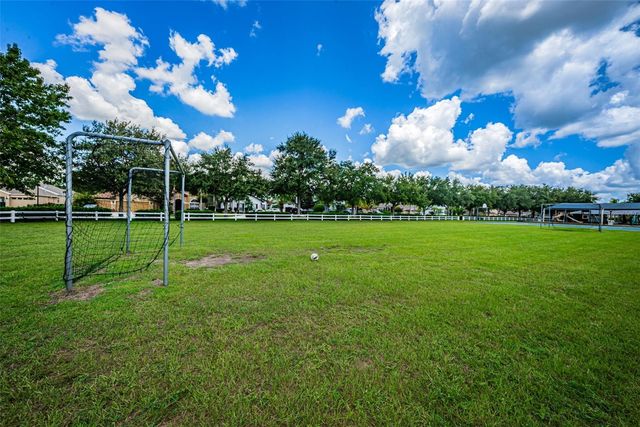16207 RAMBLING ROAD, Odessa, FL 33556