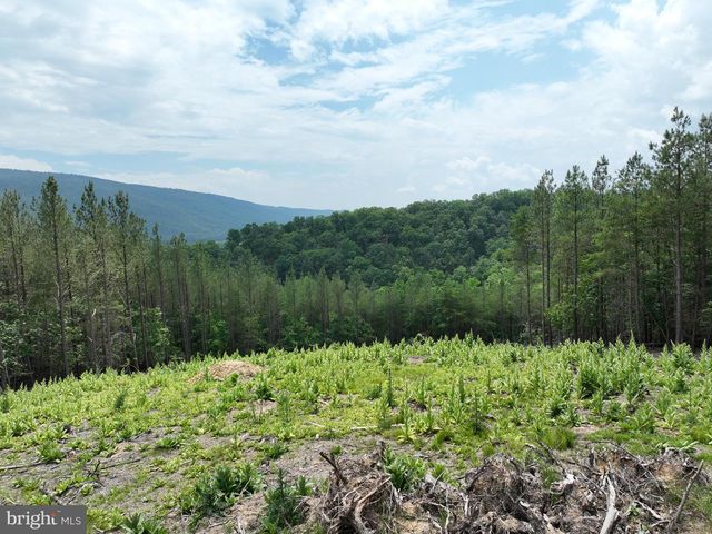20.17 AC NORTH TEXAS RD, Delray, WV 26714