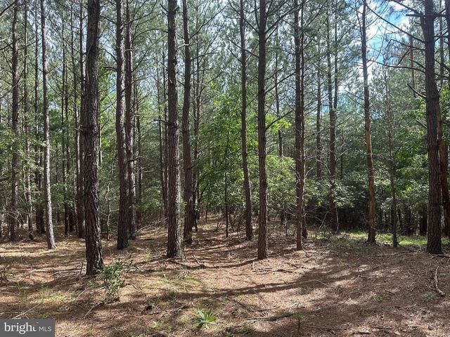 20.17 AC NORTH TEXAS RD, Delray, WV 26714