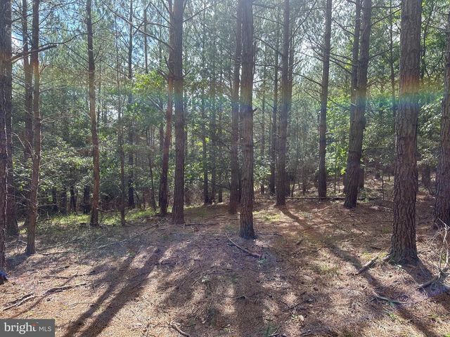 20.17 AC NORTH TEXAS RD, Delray, WV 26714