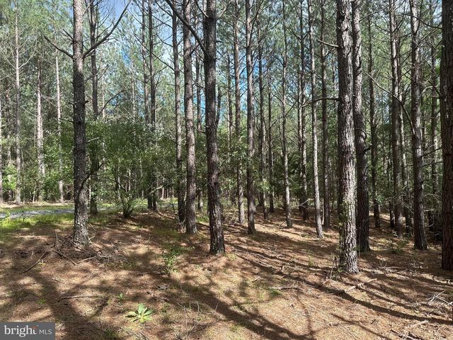 20.17 AC NORTH TEXAS RD, Delray, WV 26714