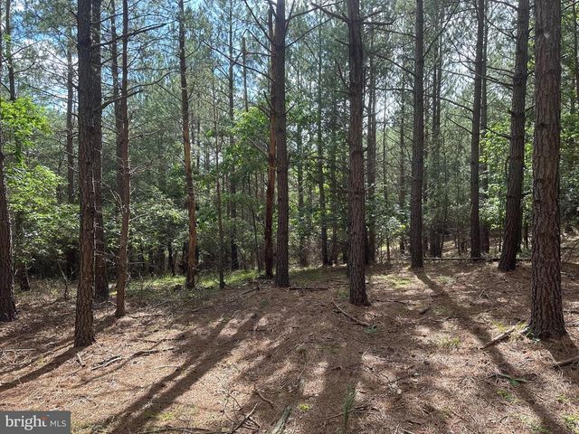 20.17 AC NORTH TEXAS RD, Delray, WV 26714