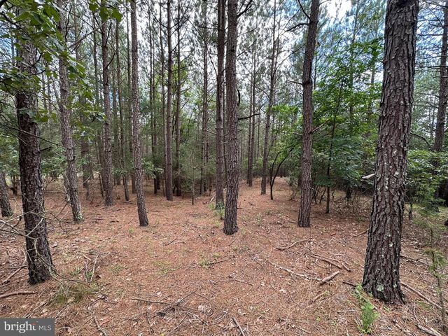 20.17 AC NORTH TEXAS RD, Delray, WV 26714