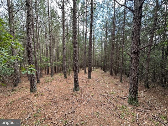 20.17 AC NORTH TEXAS RD, Delray, WV 26714