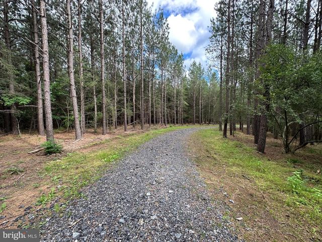 20.17 AC NORTH TEXAS RD, Delray, WV 26714