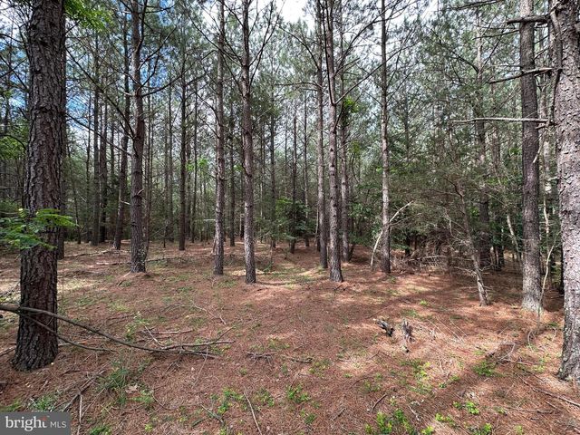 20.17 AC NORTH TEXAS RD, Delray, WV 26714