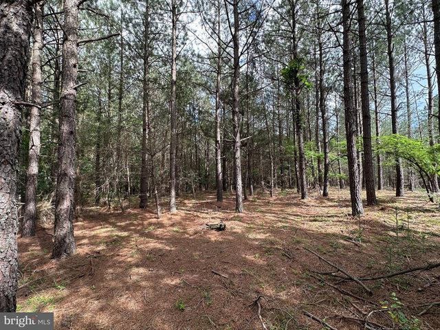 20.17 AC NORTH TEXAS RD, Delray, WV 26714