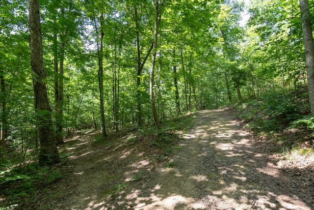 517 Collier Ln, Gallatin, TN 37066