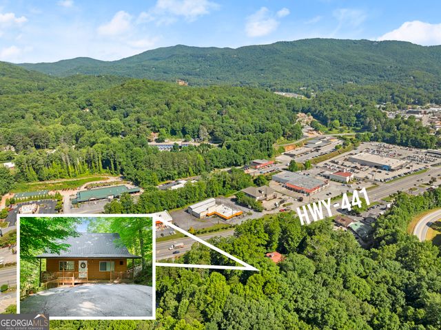 133 Bleckley Place Lane, Clayton, GA 30525