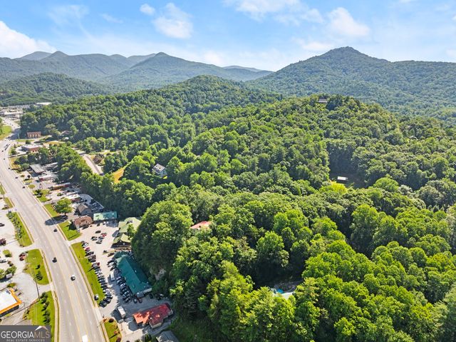 133 Bleckley Place Lane, Clayton, GA 30525