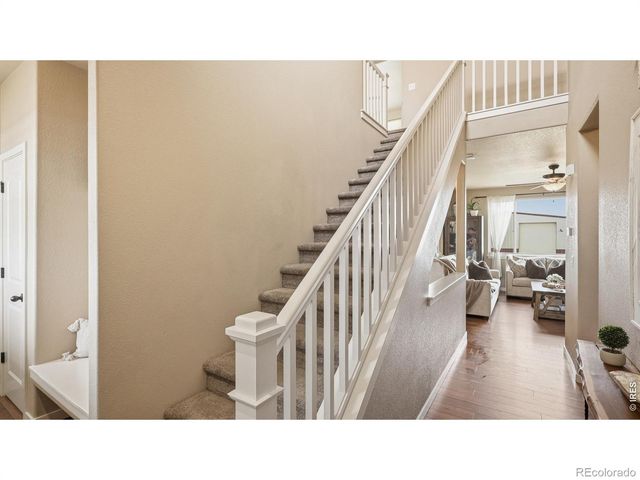 40690 Leif Lane, Ault, CO 80610