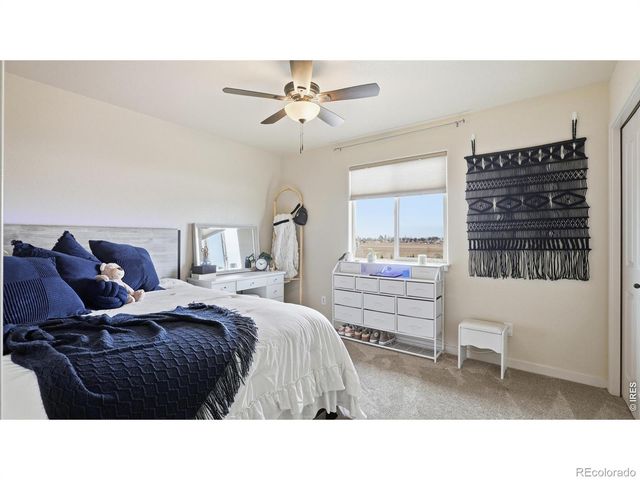 40690 Leif Lane, Ault, CO 80610