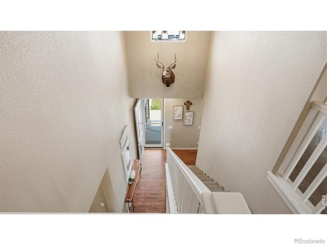 40690 Leif Lane, Ault, CO 80610