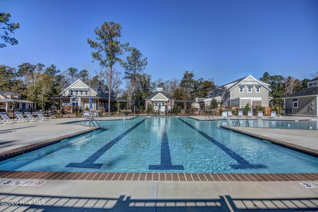 236 Sabal Pond Way, Castle Hayne, NC 28429
