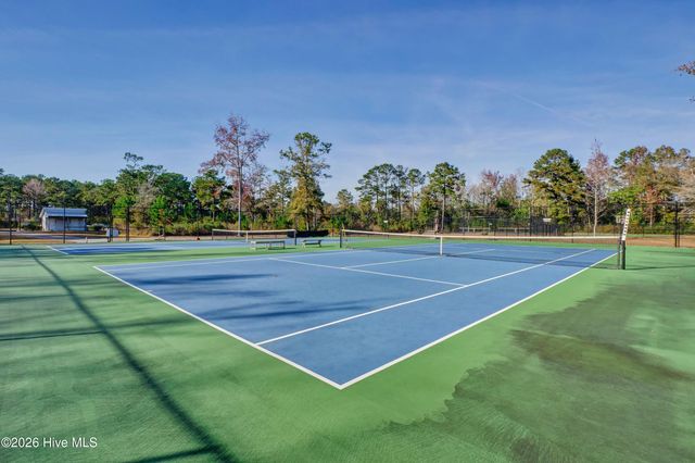 236 Sabal Pond Way, Castle Hayne, NC 28429