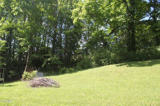 101 Knobb Hill Road, Johnson City, TN 37601