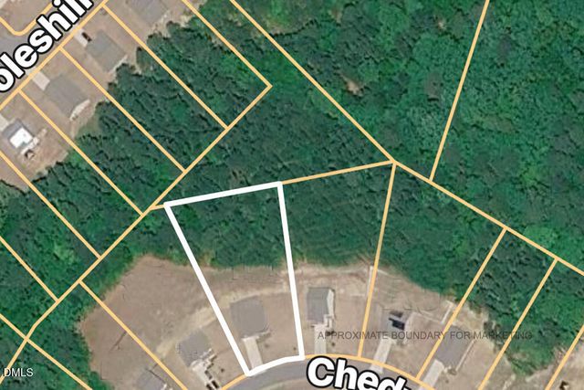 92 Chedworth Drive, Angier, NC 27501