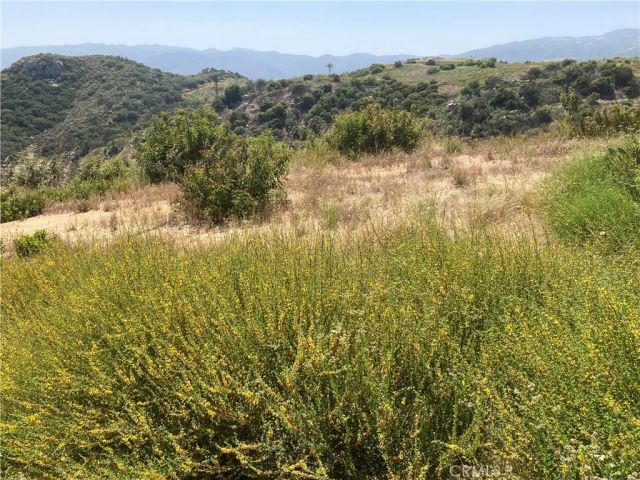 5 Crumley, Temecula, CA 92590